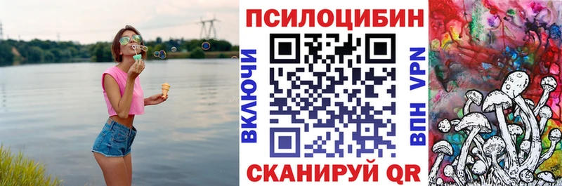 как найти закладки  Билибино  Галлюциногенные грибы Psilocybine cubensis 