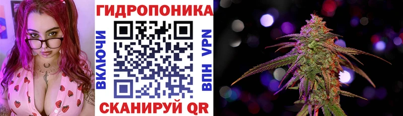 наркота Билибино сайты даркнета состав Канабис конопля